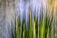 _C7A1219-Edit - Copy