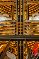 _DSC3779-Edit