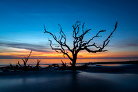 _7R31771-Edit