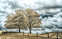 _IR70778-Edit