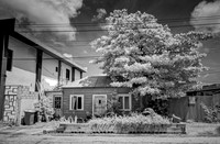 _C7A9710_DxO