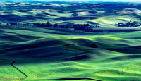 _DSC2812-Edit