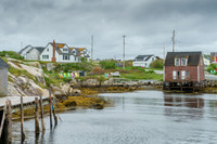 _DSC4551