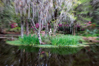 _C7A1447_DxO