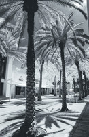 _C7A9721_DxO
