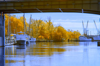 _DSC0290