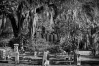_7R31563-Edit-Edit