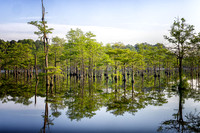 _C7A8315-Edit_DxO