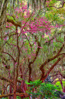 _C7A0693-Edit-Edit