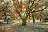 _IR71536-Edit_DxO