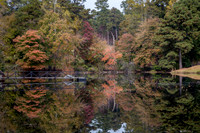 _MG_0655