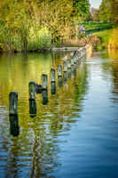 In Kensington Gardens
