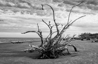 _DSC0213-Edit - Copy