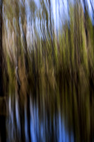 _C7A1188-2 - Copy