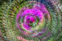 _C7A1268-Edit