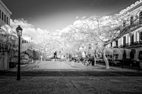 In the city-B+W
