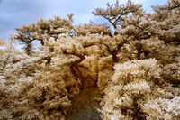 _IR70692-Edit