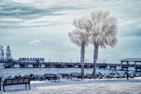 _IR71563-Edit