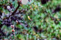 _C7A6376_Nik_DxO