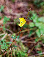_C7A6419_DxO