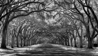 _MG_1618-2