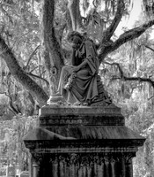 _MG_1589-Edit-2