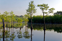 _C7A8303_DxO