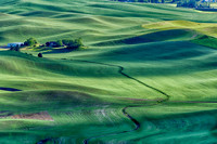 _DSC2761_Nik_HDR_Nik_DxO