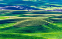 _DSC2791_Nik_DxO