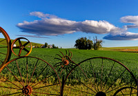 _DSC2728_Nik_DxO