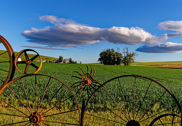 _DSC2728_Nik_DxO