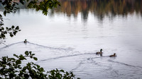 _MG_0621