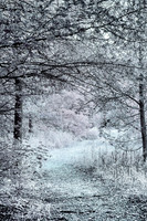 _MG_1227-Edit_DxO