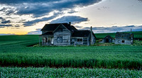 _DSC2670_Nik_HDR_DxO