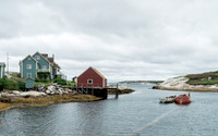 _DSC4539