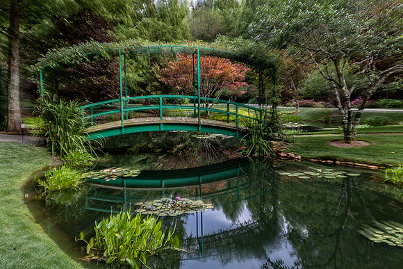 _MG_9681-Edit