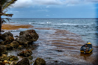 _MG_9739-Edit