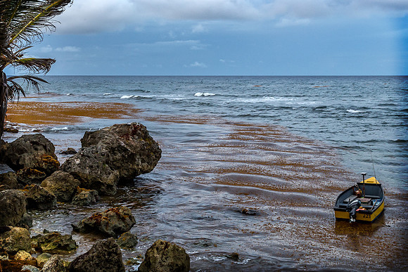 _MG_9739-Edit