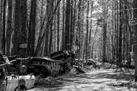 _DSC8740-Edit