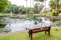 _MG_9688-Edit