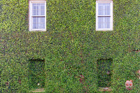 _C7A1925_Nik_DxO