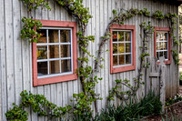 IMG_2179-Edit