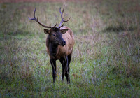 _C7A6890-Edit