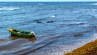 _MG_9737