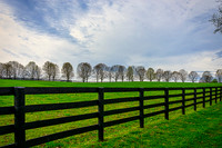 _DSC9067_Luminar3-edit