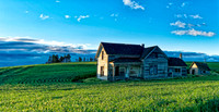 _DSC2695_Nik_DxO