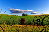 _DSC2725_Nik_DxO