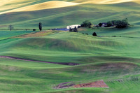 _DSC2752_Nik_DxO