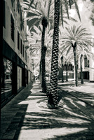 _C7A9723_DxO