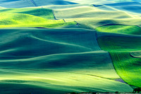 _DSC2770-Edit